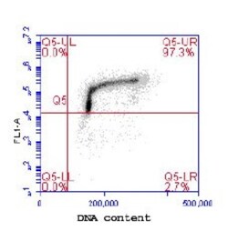 MCM2, p Ser108 Antibody, Novus Biologicals 0.1mg; Unlabeled:Antibodies,